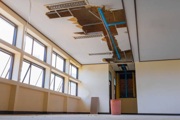 Best Ceiling water damage repair  in Ord, NE