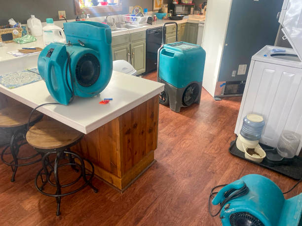 Best Water damage restoration company  in Ord, NE