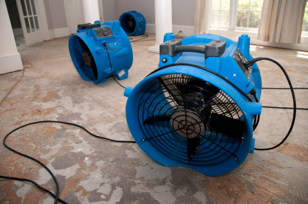 Best Mold removal after water damage  in Ord, NE