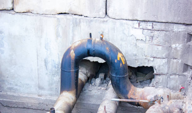 Best Water damage cleanup near me  in Ord, NE