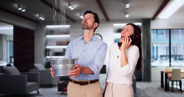 Best Professional water damage repair  in Ord, NE